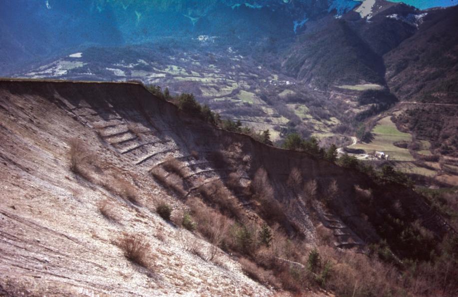 Scan 150320 0001 o 1280x832